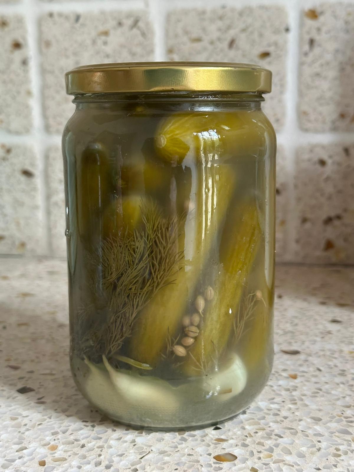 מלפפונים מותססים